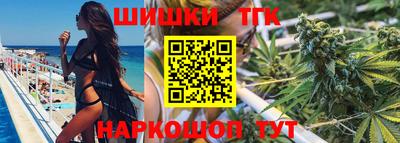 молекула духа Будённовск