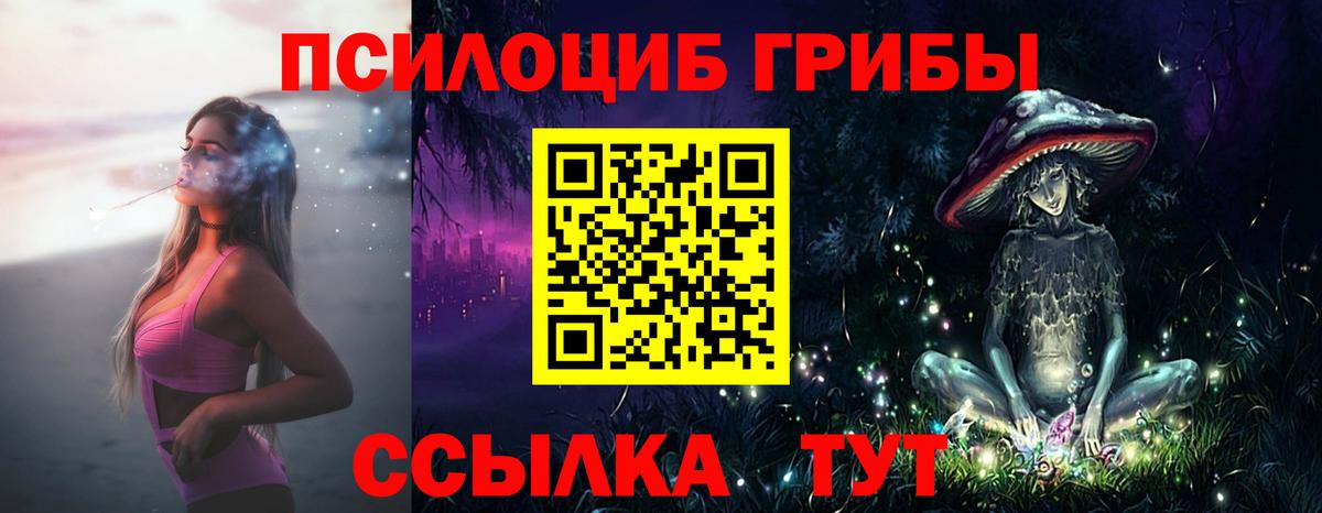 Щёкино  Галлюциногенные грибы мицелий  Псилоцибиновые грибы Psilocybine cubensis  Вход с VPN 